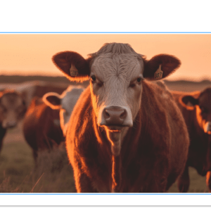 Agro_Home_Branco_Vertical_006