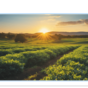 Agro_Home_Branco_Vertical_011